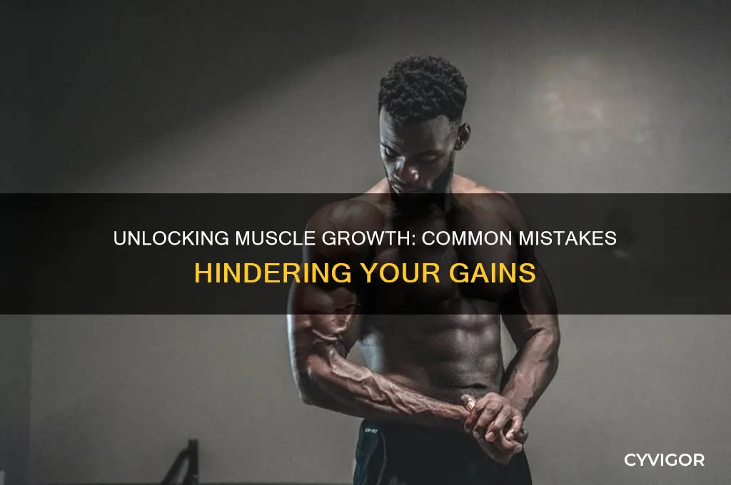 why am i not seeing any muscle gains