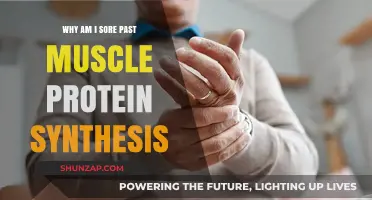 Beyond Muscle Protein Synthesis: Unraveling Persistent Soreness Causes and Remedies