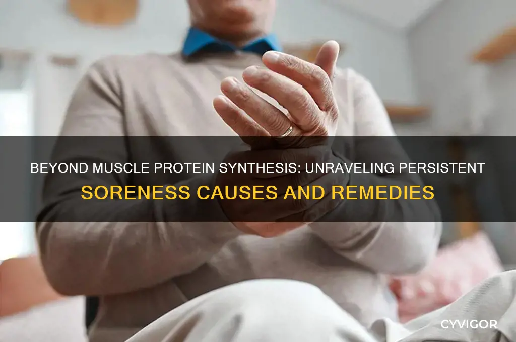 why am i sore past muscle protein synthesis