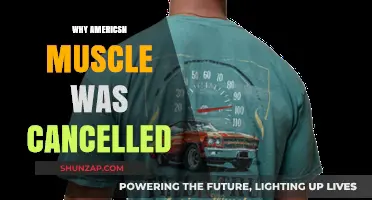 The Sudden End of American Muscle: What Happened?