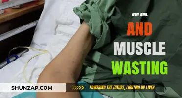 AML's Muscle Wasting Mystery: What's the Link?