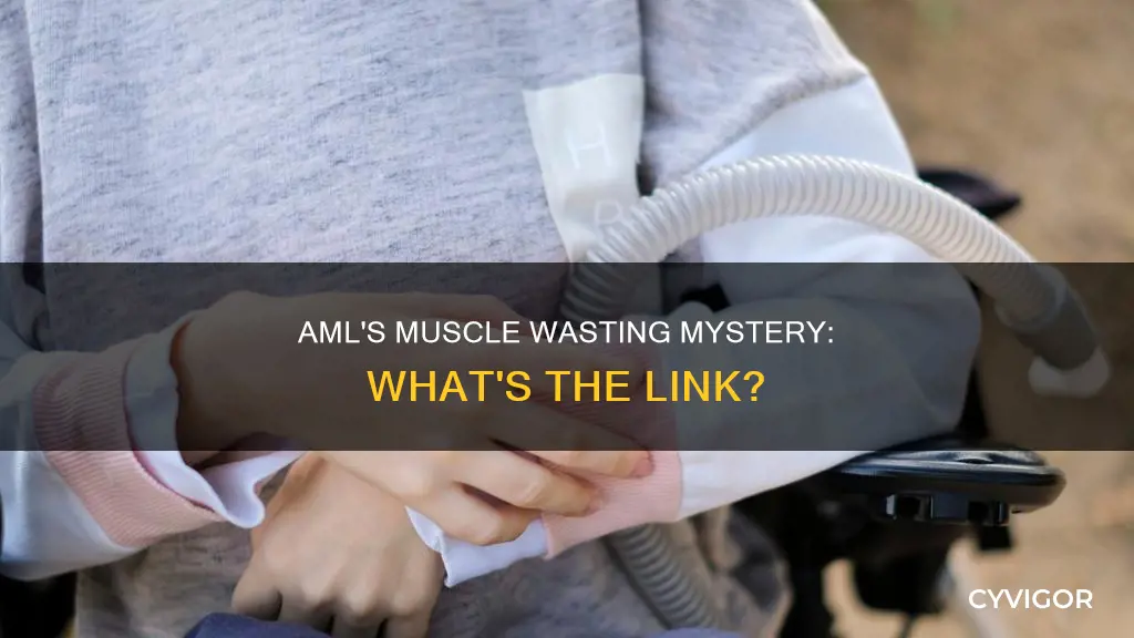 why aml and muscle wasting
