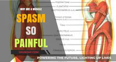 Why Muscle Spasms Cause Intense Pain: Understanding the Agony