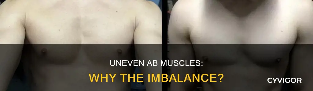 why are ab muscles uneven