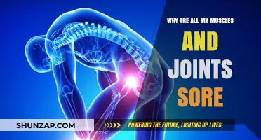 Why Are All My Muscles and Joints Sore? Causes and Relief