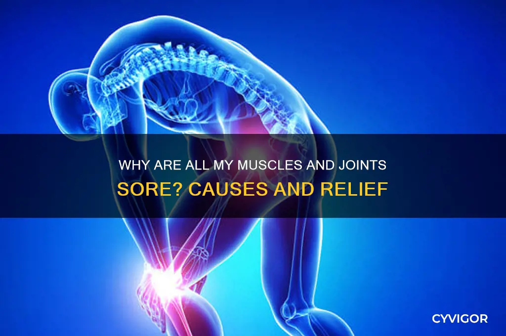 why are all my muscles and joints sore