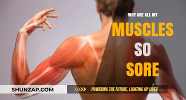 Why Are All My Muscles So Sore? Understanding Delayed Onset Muscle Soreness