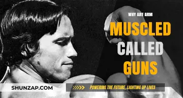 Why Are Arm Muscles Called Guns? Unraveling the Powerful Metaphor