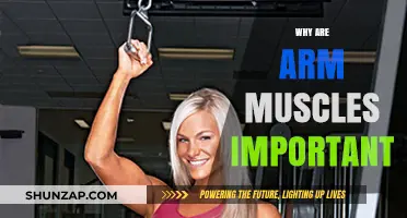 Strong Arms, Strong Life: The Importance of Arm Muscles