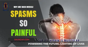 Understanding the Agonizing Pain of Back Muscle Spasms: Causes and Relief
