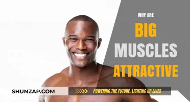 Muscle Attraction: The Science of Big Bodies