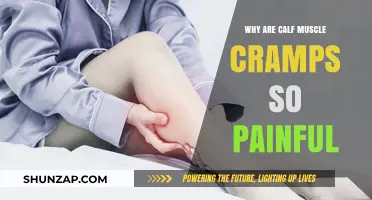 Unraveling the Agony: Why Calf Muscle Cramps Cause Intense Pain