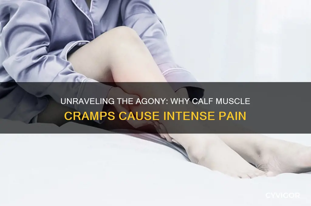why are calf muscle cramps so painful