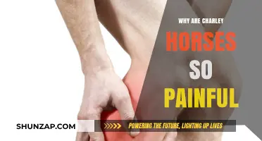 Charley Horses: Unraveling the Agonizing Mystery Behind Muscle Cramps