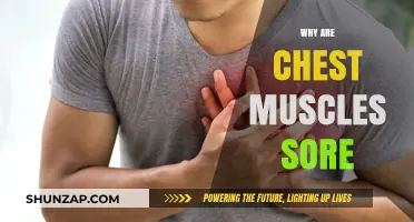 Why Chest Muscles Ache: Causes, Recovery, and Prevention Tips