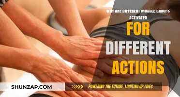 Muscle Activation Secrets: Unlocking the Science Behind Diverse Movements