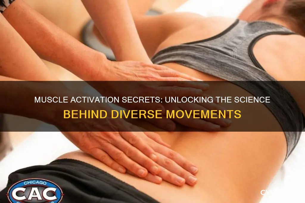 why are different muscle groups activated for different actions