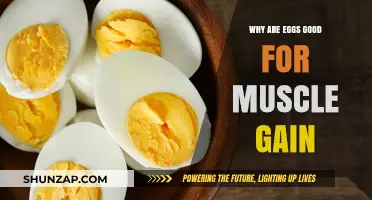 Eggs: The Ultimate Protein Powerhouse for Muscle Growth and Recovery