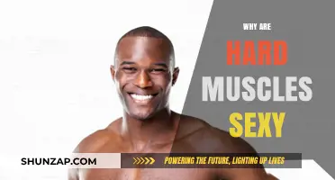 Hard Muscles: The Ultimate Attraction
