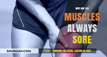 Why Leg Muscles Always Ache: Unraveling the Soreness Mystery