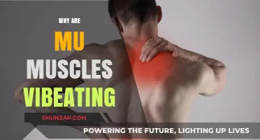 Understanding Muscle Vibrations and Their Causes