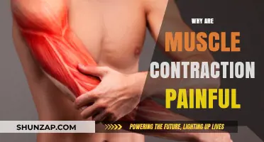 Understanding the Causes of Painful Muscle Contractions and How to Relieve Them