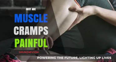 Why Muscle Cramps Cause Intense Pain: Understanding the Science Behind It