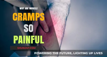 Understanding the Agonizing Pain of Muscle Cramps: Causes and Relief