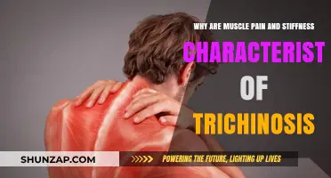 Muscle Pain and Stiffness: Key Symptoms of Trichinosis Explained