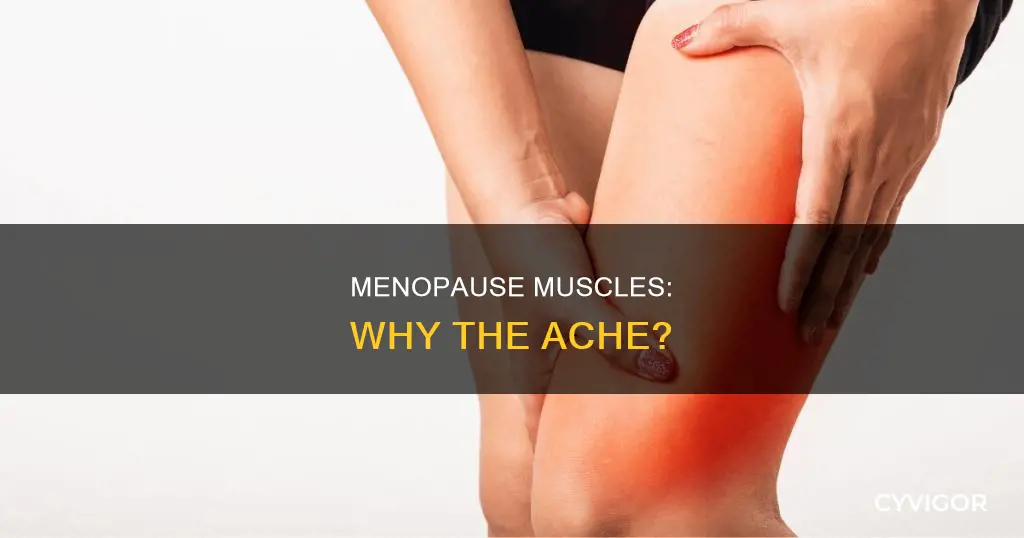 why are muscles achy perimenopause