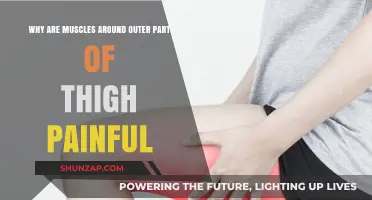 Outer Thigh Muscle Pain: Causes, Symptoms, and Effective Relief Strategies