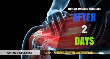 Delayed Muscle Soreness: Unraveling the Mystery of 48-Hour Pain