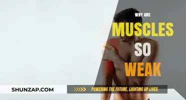 Muscle Weakness: Uncovering the Reasons Behind It