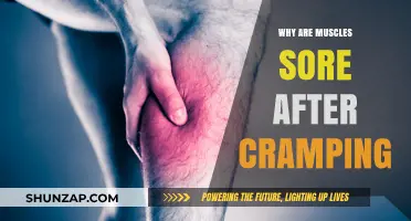 Understanding Muscle Soreness: Causes and Remedies Post-Cramping Explained