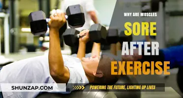 Understanding Post-Workout Muscle Soreness: Causes and Recovery Tips