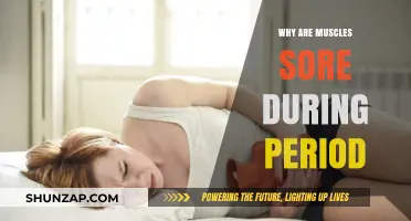 Period Muscle Soreness Explained: Causes and Relief Strategies