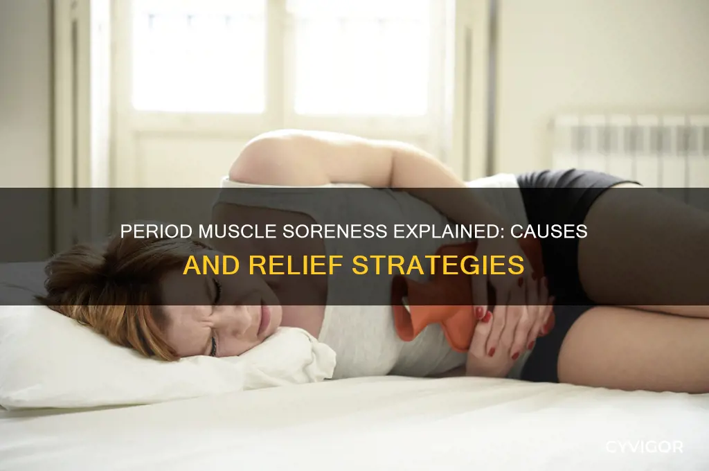 why are muscles sore during period