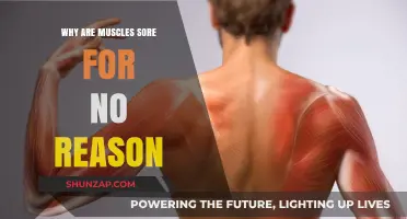 Unexplained Muscle Soreness: Causes, Prevention, and Relief Strategies Explained