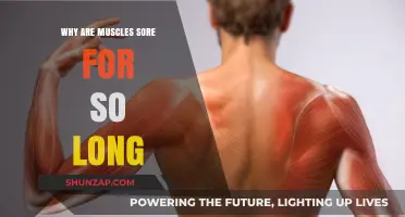Understanding Prolonged Muscle Soreness: Causes, Recovery, and Prevention Tips