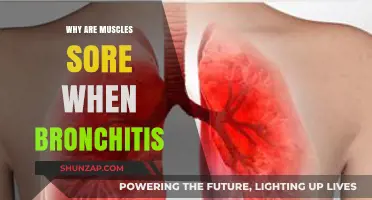 Bronchitis and Muscle Soreness: Understanding the Unexpected Connection