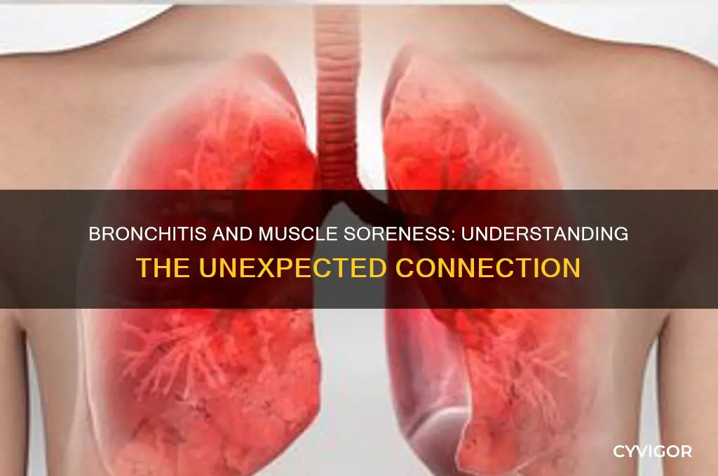 why are muscles sore when bronchitis