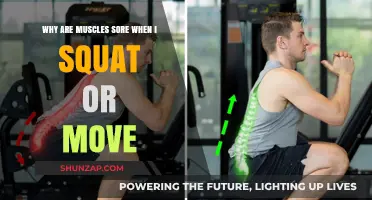 Why Muscles Ache After Squats: Understanding Delayed Onset Muscle Soreness