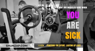 Why Muscles Ache During Illness: Unraveling the Sickness Soreness Mystery