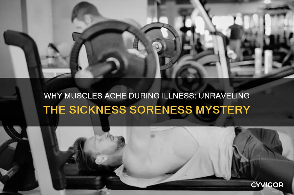 why are muscles sore when you are sick