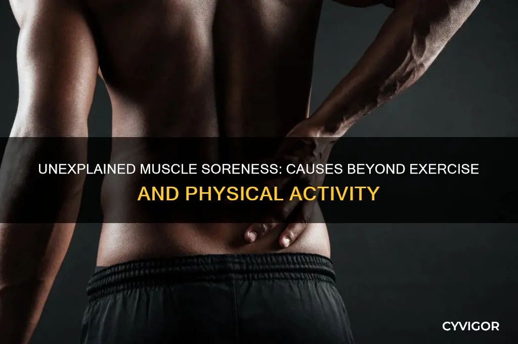why are muscles sore without working out