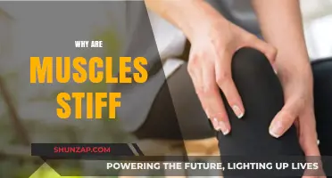 Muscle Stiffness: Understanding the Root Cause of Soreness