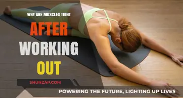 Post-Workout Muscle Tightness: Causes, Benefits, and Recovery Tips