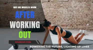 Why Muscles Feel Warm Post-Workout: Science Behind the Heat