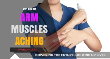Why Do My Arm Muscles Ache? Causes and Remedies Explained