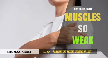 Understanding Weak Arm Muscles: Causes, Solutions, and Strengthening Tips